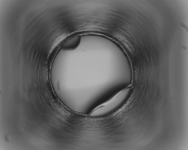 X0000096491069200802211232