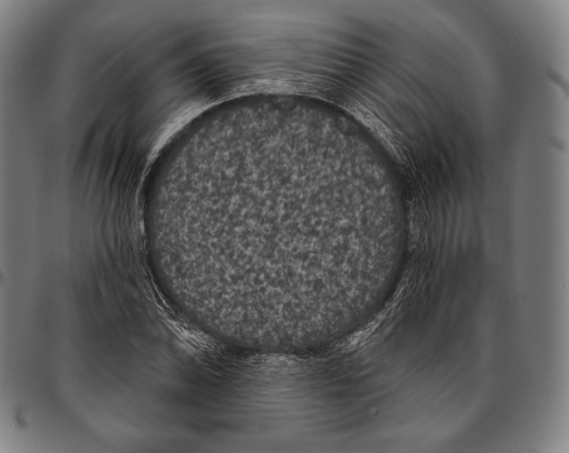 X0000096491070200802211232