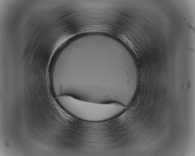 X0000096491072200802211232