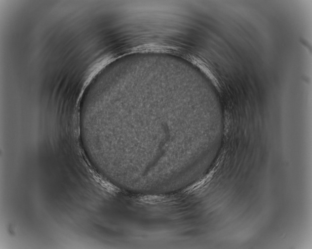 X0000096491075200802211232