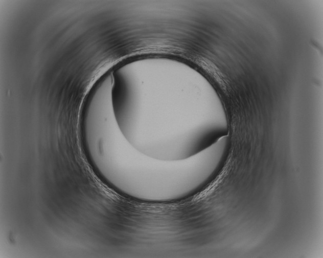 X0000096491077200802211232