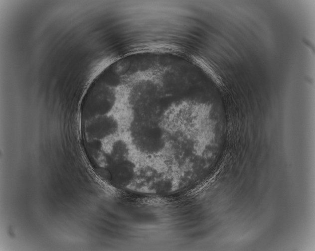 X0000096491079200802211232