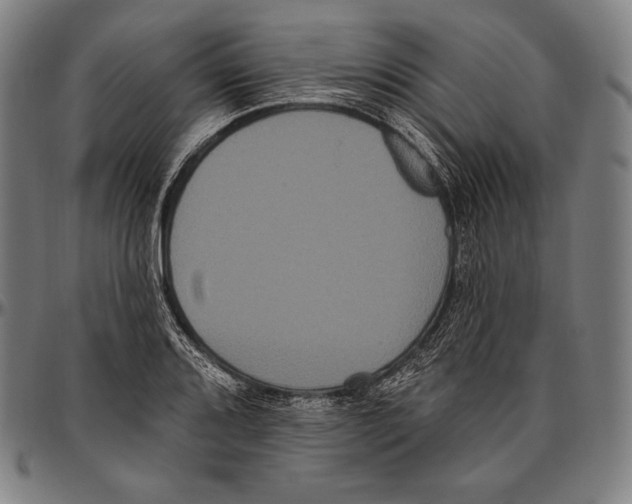 X0000096491080200802211232