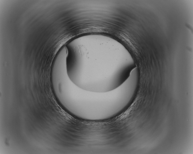 X0000096491081200802211232