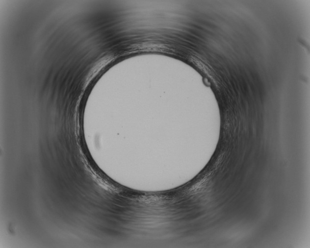 X0000096491082200802211232