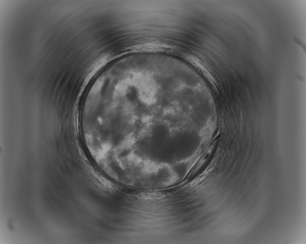 X0000096491083200802211232