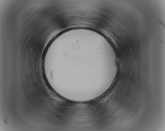 X0000096491085200802211232