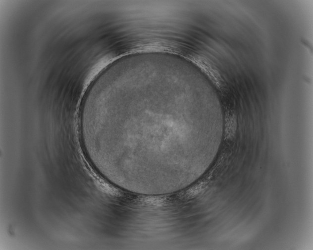 X0000096491086200802211232