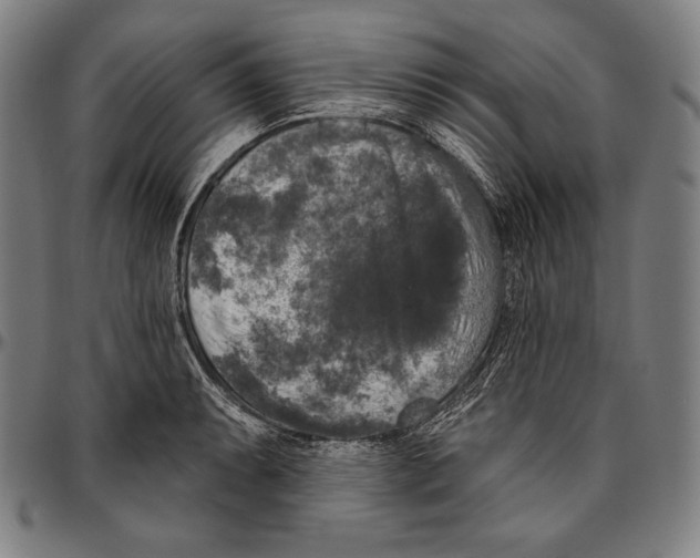 X0000096491087200802211232