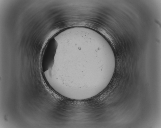 X0000096491088200802211232