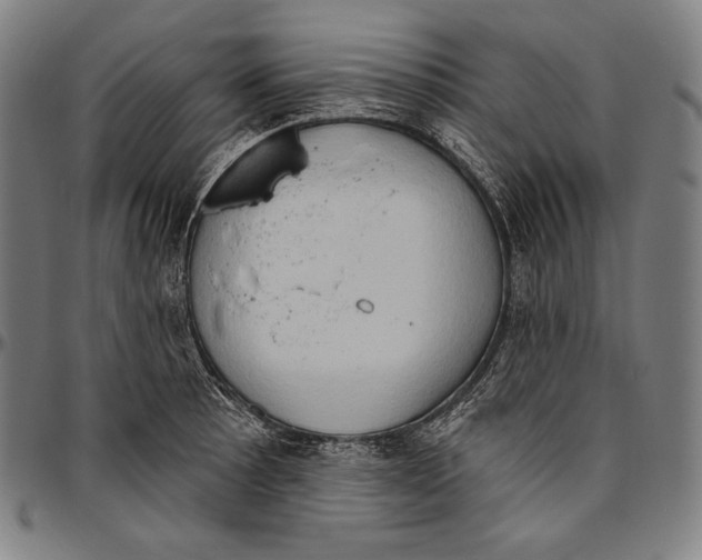 X0000096491089200802211232