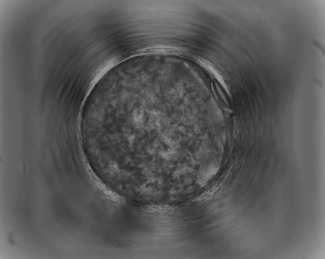 X0000096491091200802211232