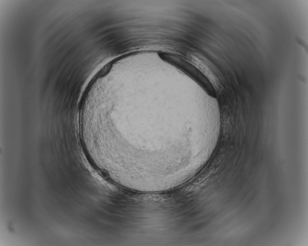 X0000096491092200802211232