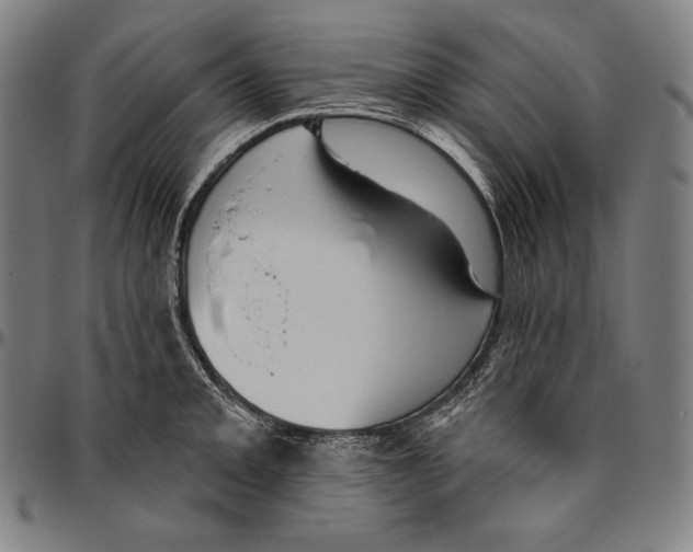 X0000096491093200802211232