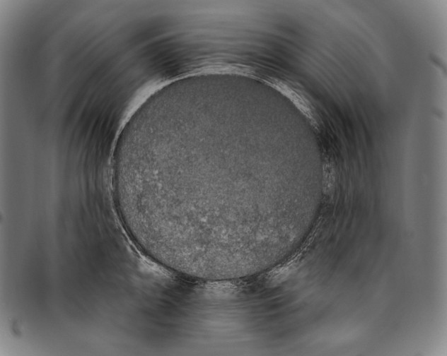 X0000096491094200802211232