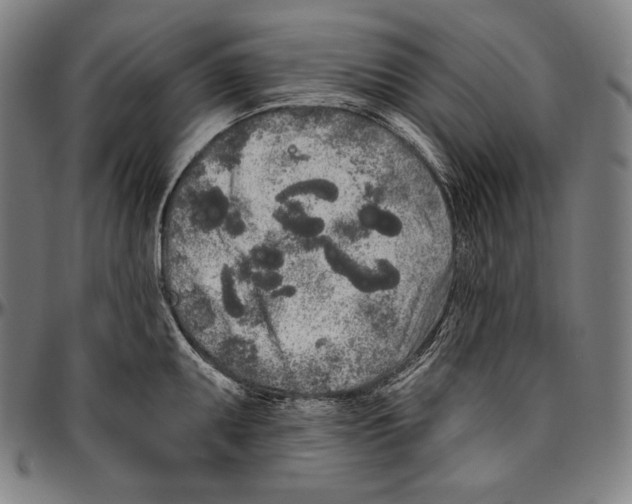 X0000096491095200802211232