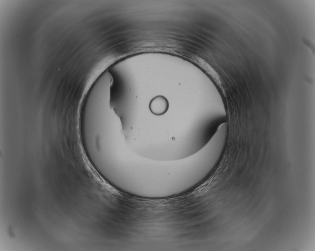 X0000096491096200802211232