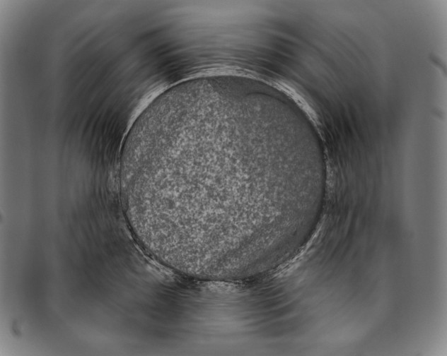 X0000096491097200802211232