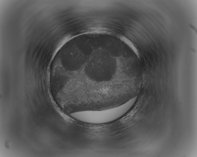 X0000096491099200802211232