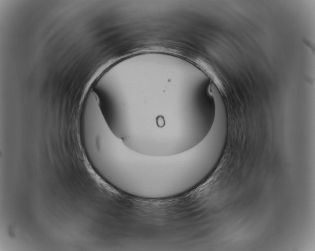 X0000096491100200802211232