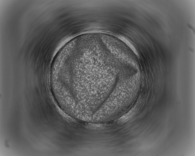 X0000096491101200802211232