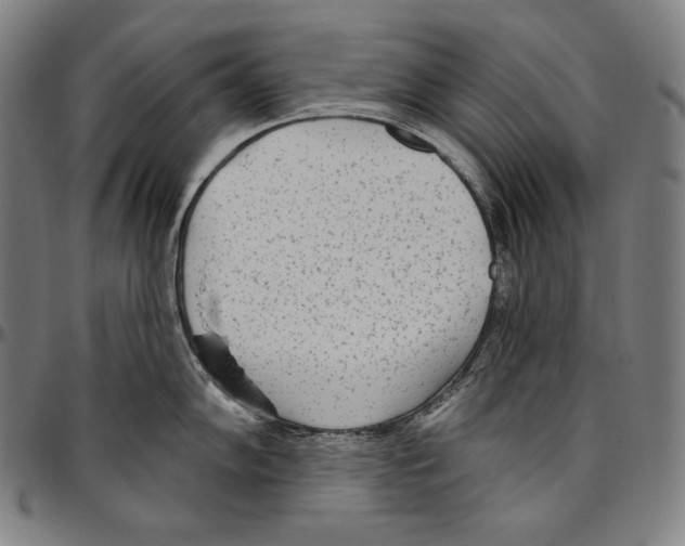 X0000096491102200802211232