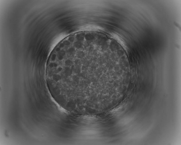 X0000096491103200802211232