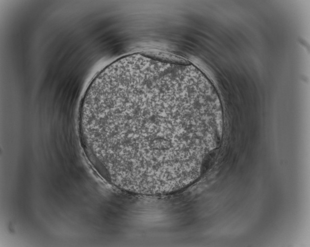 X0000096491104200802211232