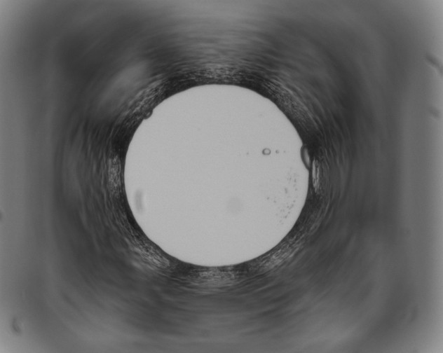 X0000096491107200802211231