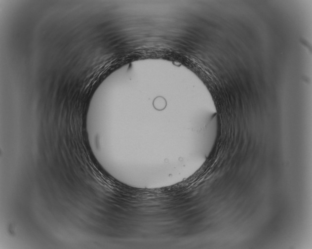 X0000096491108200802211231