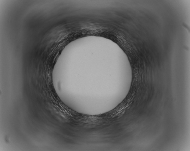 X0000096491109200802211231