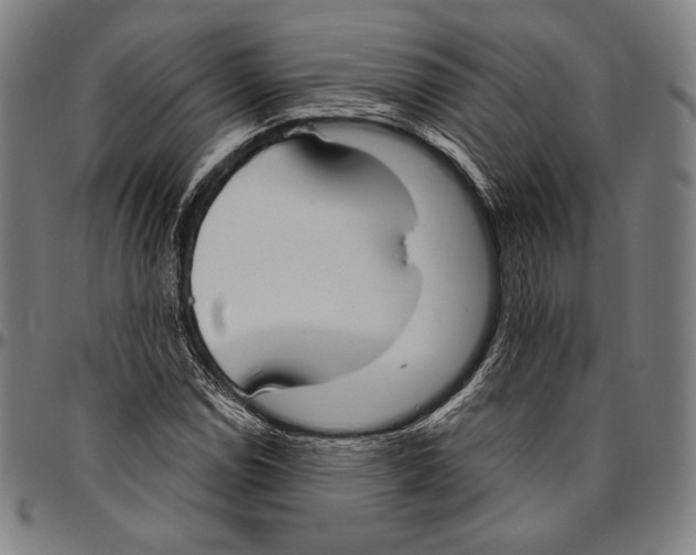 X0000096491114200802211231