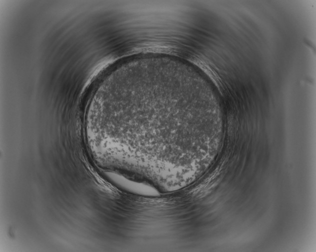 X0000096491115200802211231