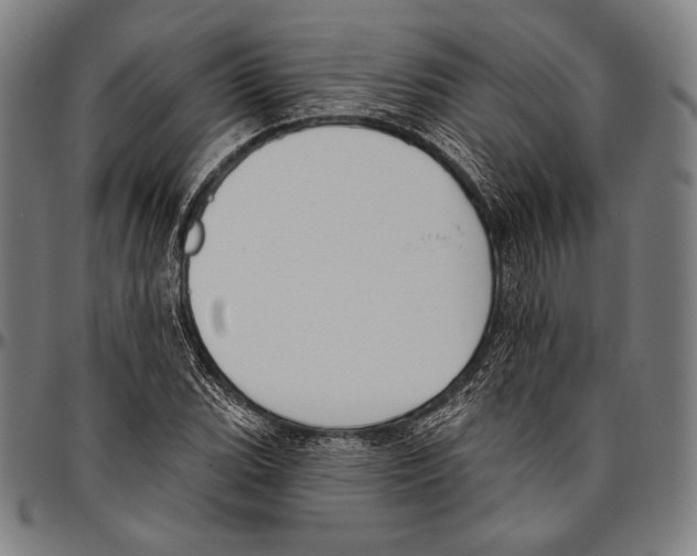 X0000096491119200802211231