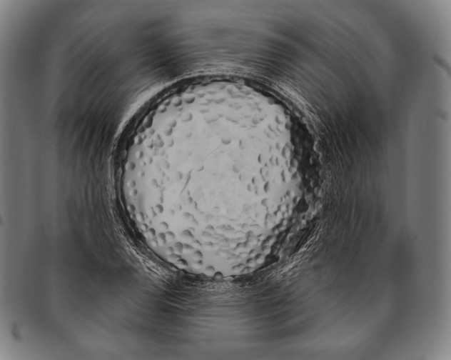 X0000096491120200802211231