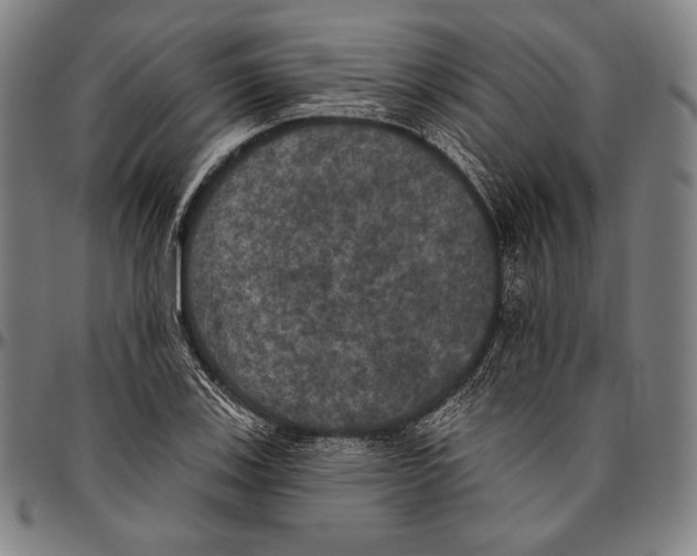 X0000096491123200802211231