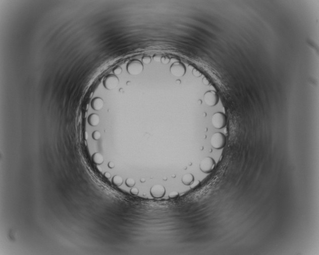 X0000096491126200802211231