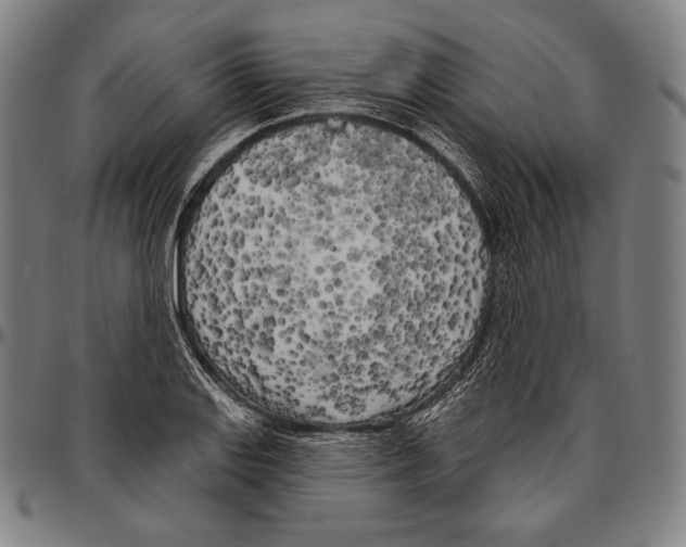 X0000096491127200802211231