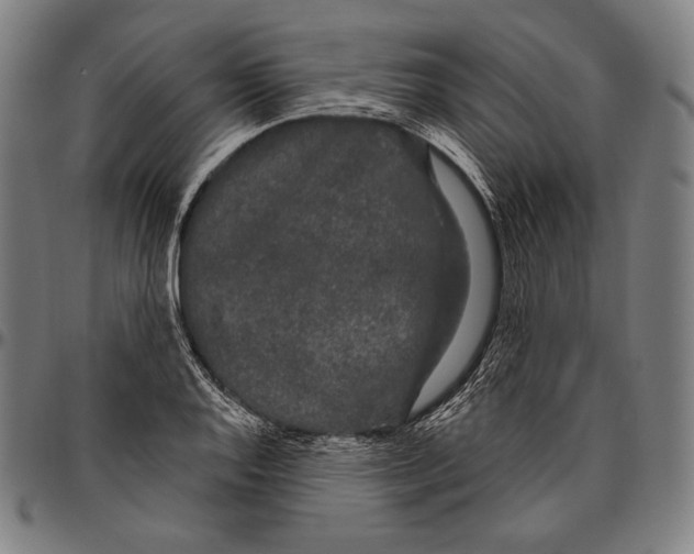 X0000096491128200802211231