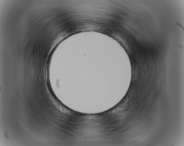 X0000096491130200802211231