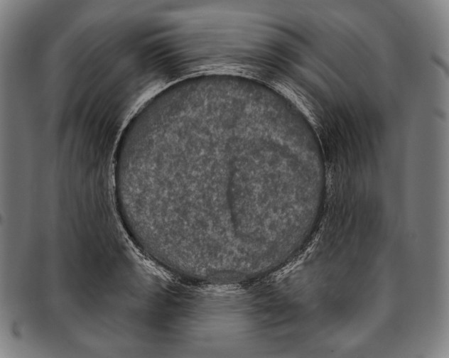 X0000096491133200802211231