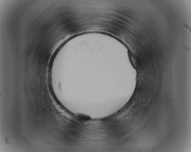 X0000096491134200802211231