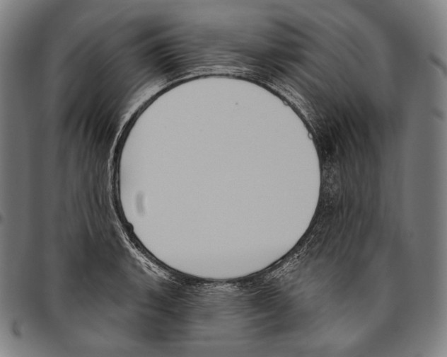 X0000096491135200802211231