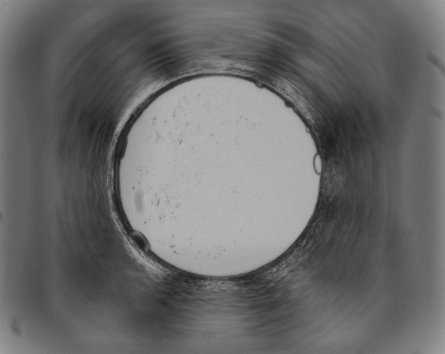 X0000096491136200802211231