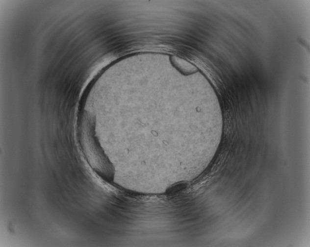 X0000096491139200802211231