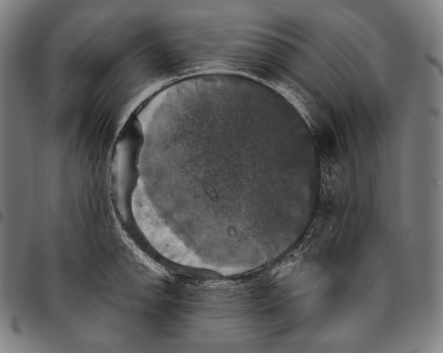 X0000096491142200802211231