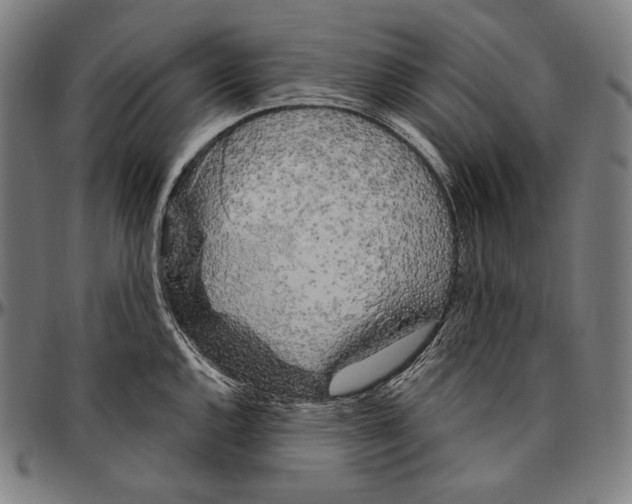 X0000096491144200802211232