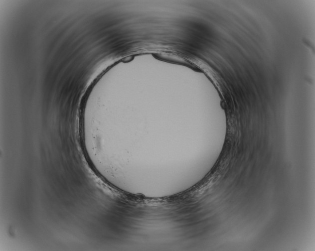 X0000096491147200802211232