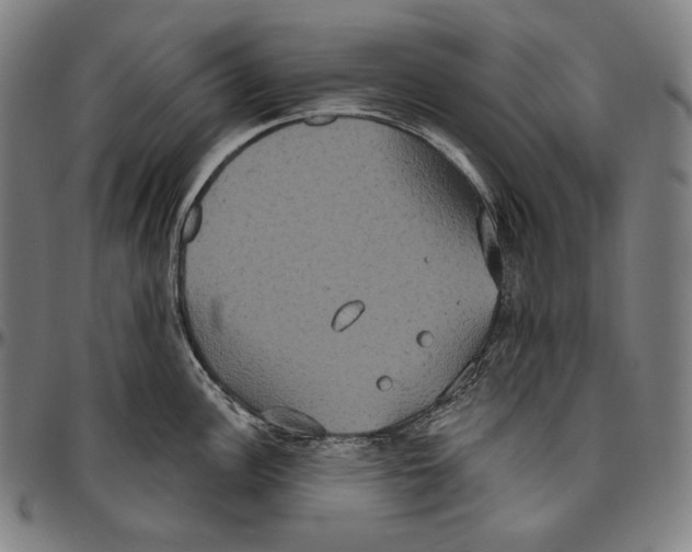 X0000096491148200802211232