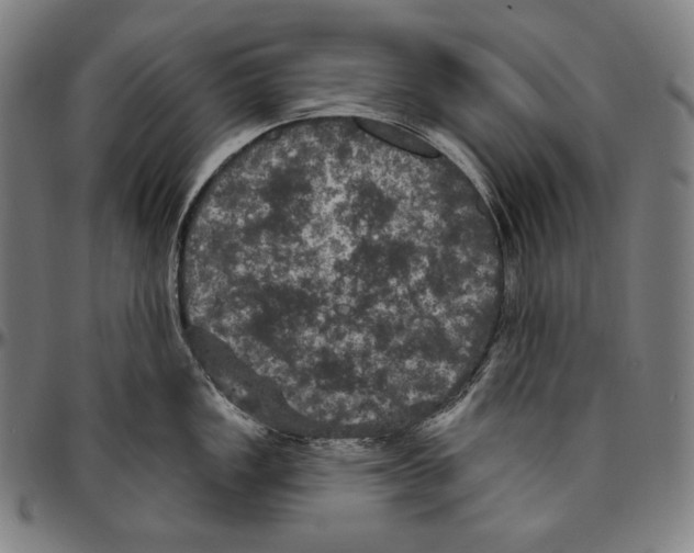 X0000096491149200802211232